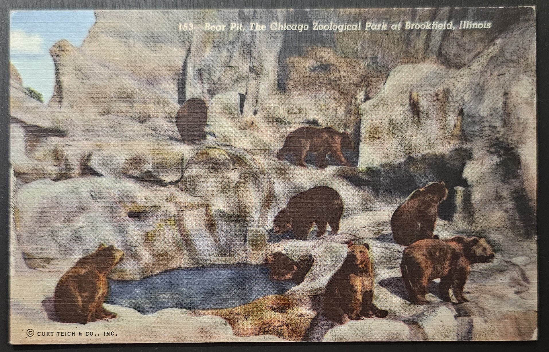 (image for) postcard USA - IL - Illinois #0018